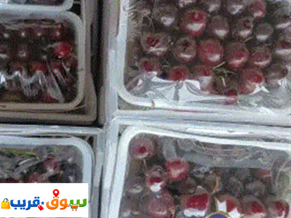 حلويات الفاكهة والخضار عند أبو مروان السوق المركزية مظلة رقم 6 أسعار زمان رومان مصري سله 5 ك 25 ...