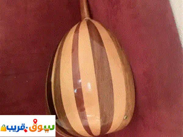 عود شبه جديد كهربائي عبارة عن آلة وتريه به امكانية التوصيل الكهربائي مع شنطه حفظ يمكن التفاوض علي ...