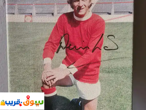 Signed Man United Legends canvas of Peter Schmeichel & Denis Law