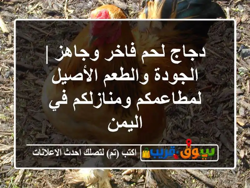 دجاج لحم فاخر وجاهز | الجودة والطعم الأصيل...