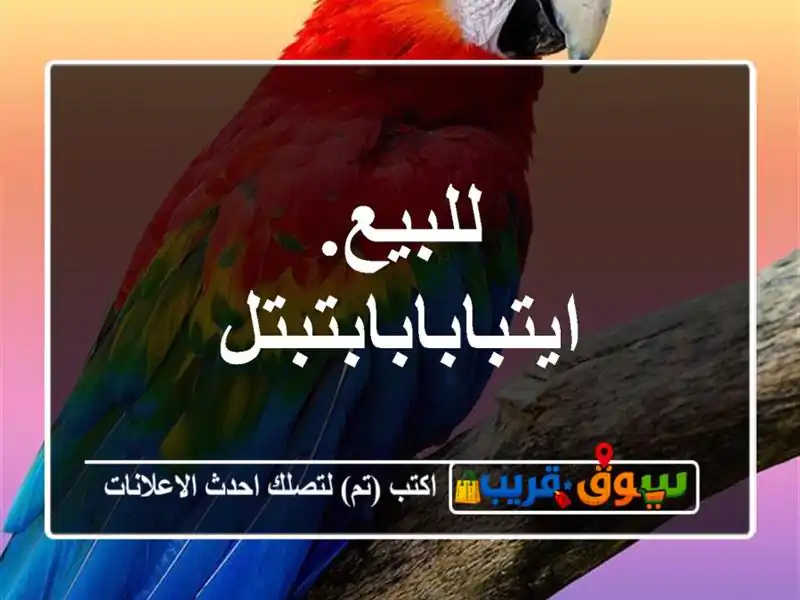 للبيع. ايتبابابابتبتل
