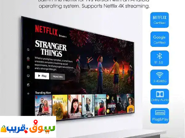 tv stick