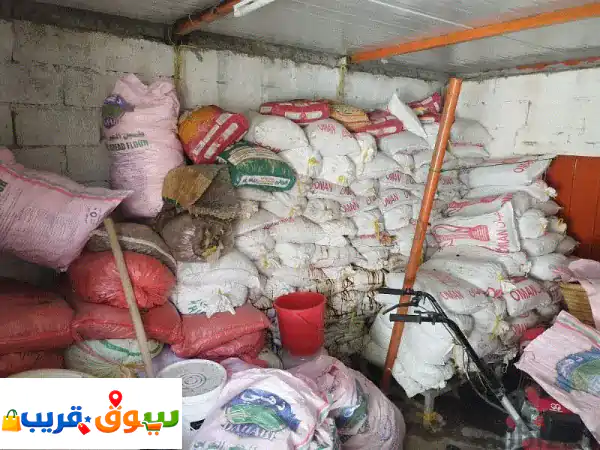 تمر نفيعة للبيع