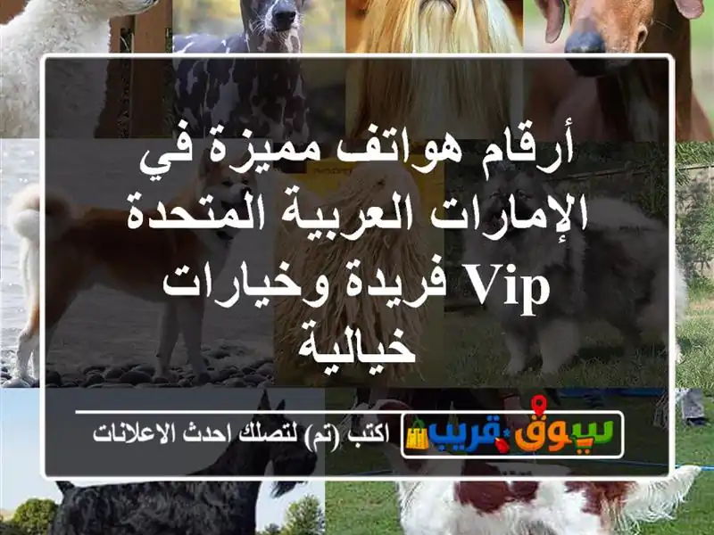 أرقام هواتف مميزة في الإمارات العربية المتحدة  VIP فريدة وخيارات خيالية