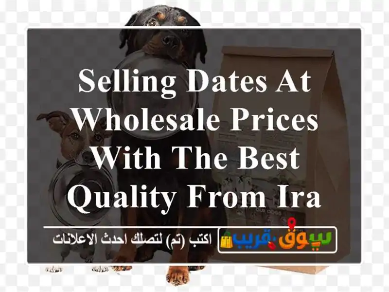 Selling Dates at Wholesale Prices With the Best Quality From Iran per 100 Kgr.