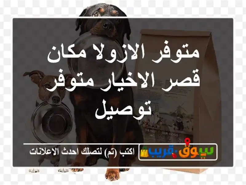متوفر الازولا مكان قصر الاخيار متوفر توصيل
