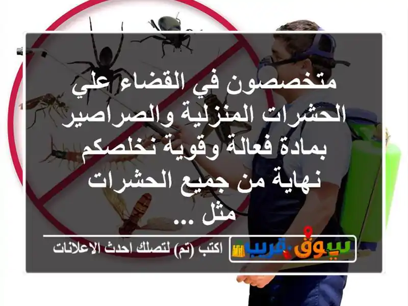 متخصصون في القضاء علي الحشرات المنزلية...