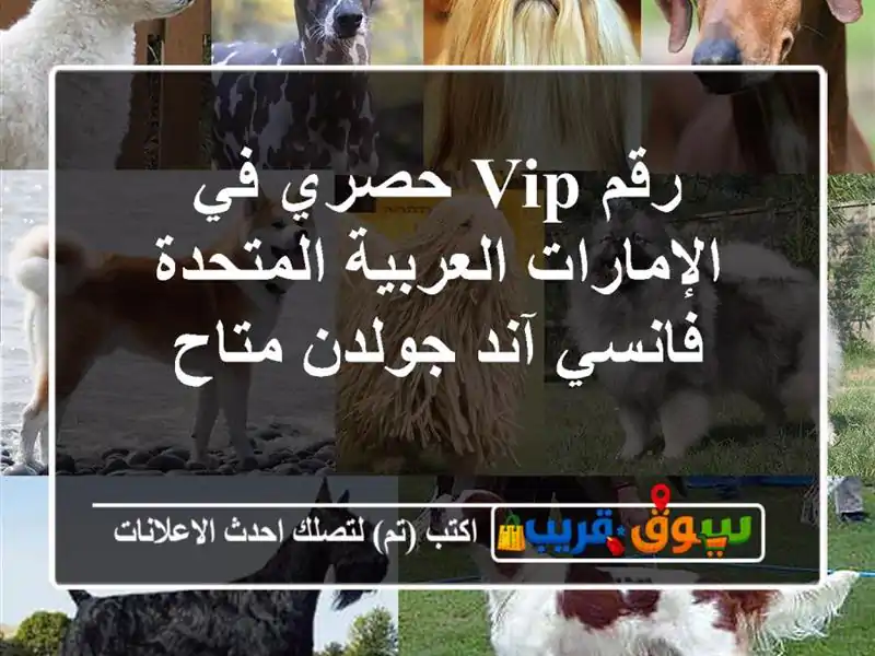 رقم VIP حصري في الإمارات العربية المتحدة  فانسي...