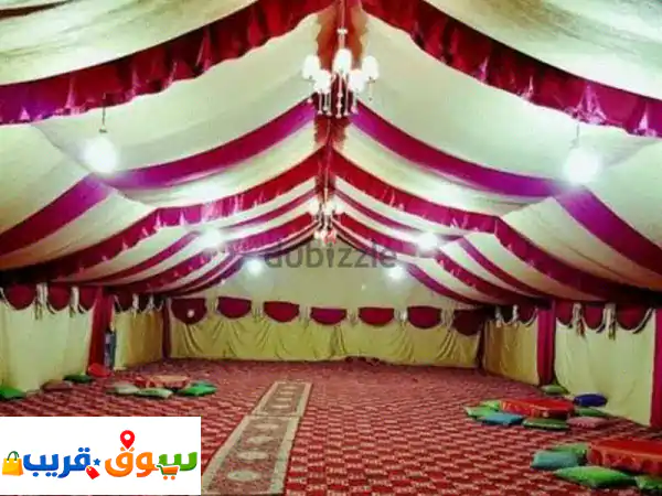 تنظيم حفلات تاجير كراسي و طاولات. أطفال كراسي و...